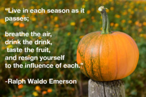 eat seasonally and locally environment greenhouse energy