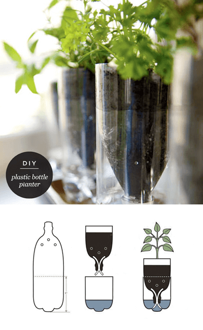 Upcycling plastic drink bottles to make a planter 