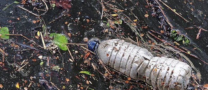 water bottle and other plastic waste floating in water