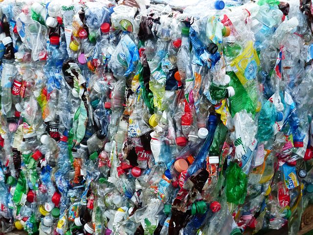 Time to reduce our plastic obsession! - swrm