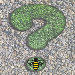 Grass question mark on top of gravel with swrm bee logo