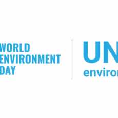 How are you celebrating World Environment Day?
