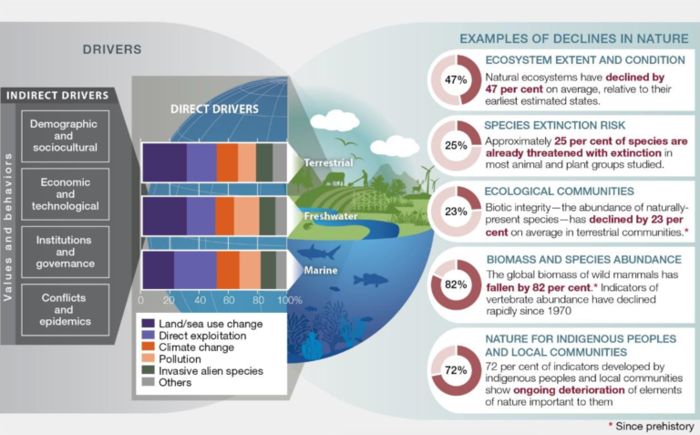 the-biodiversity-crisis-a-warning-from-the-un-swrm