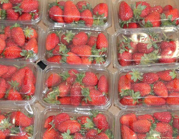 Strawberries in plastic punnets