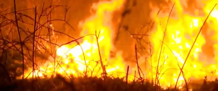 Wildfires buring in The Amazon