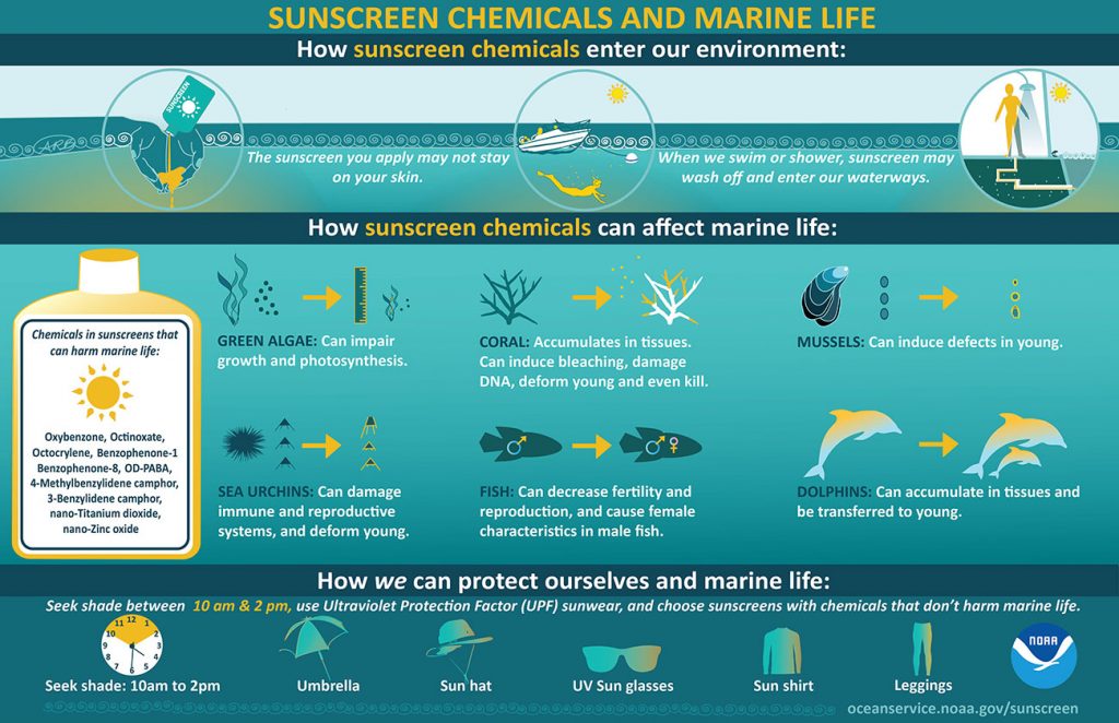 Sunscreen effects on marine life chart