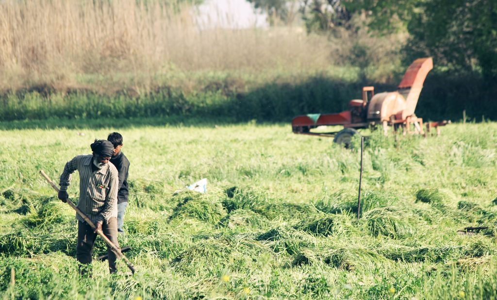 Two men farming. Farm equipment in background. 