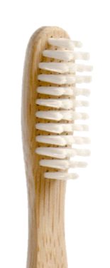 Bamboo toothbrush head