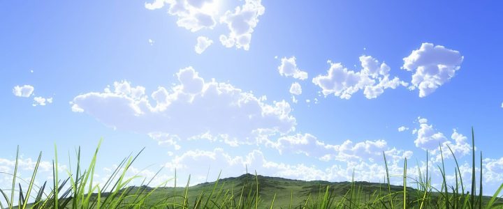 Blue sky, a few white clouds and green grass.