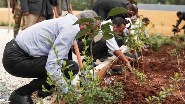 Civil servants planting trees in Ethiopia