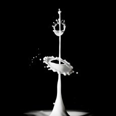 Splash of milk on black background