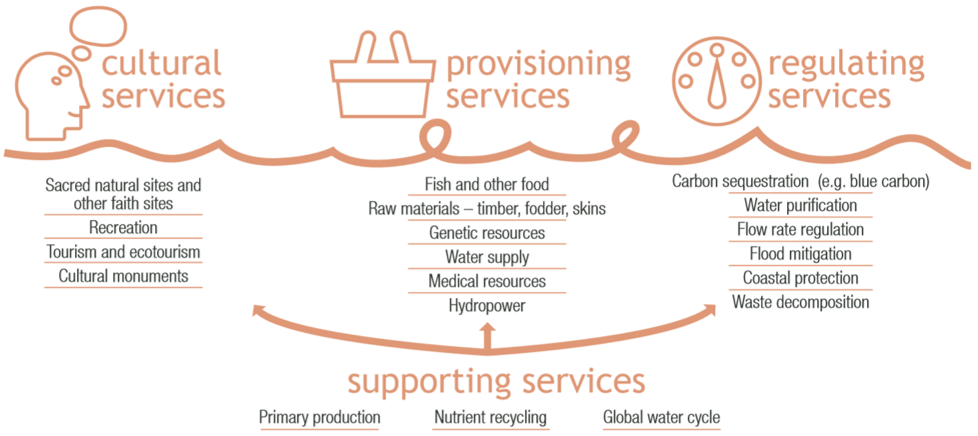 Ecosystem Service from Wetlands infographic, from the Global Wetland Outlook