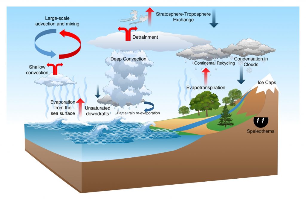 Processes involved in determining isotopic composition of atmospheric water