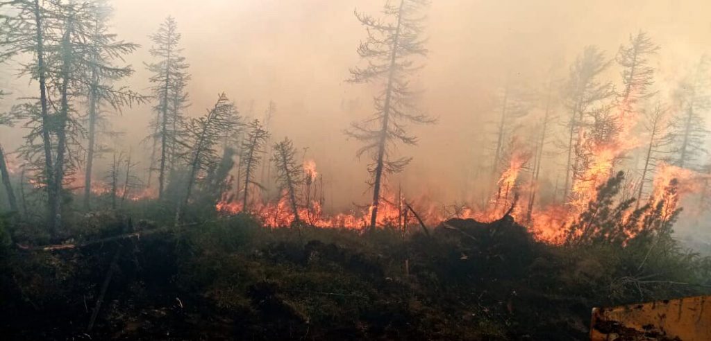 Wildfires in Siberia. Arctic circle heat