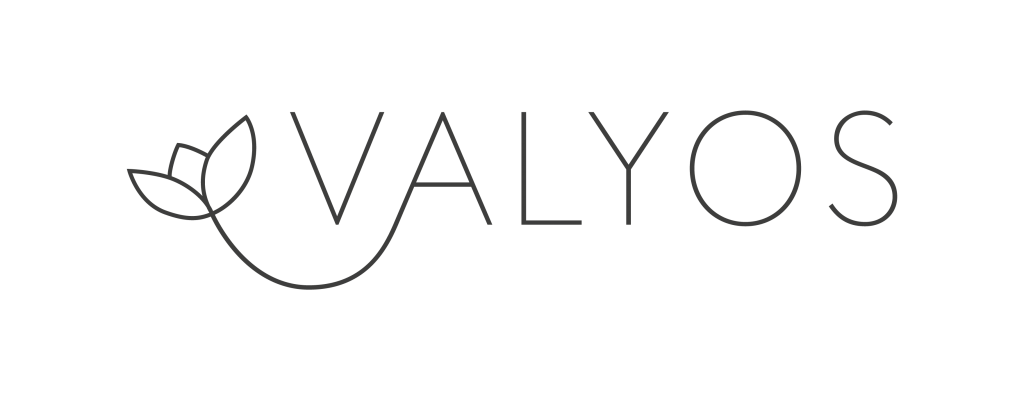 Valyos logo