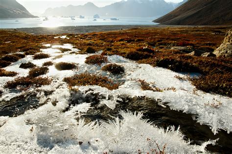 Thawing tundra and permafrost. Arctic circle heat
