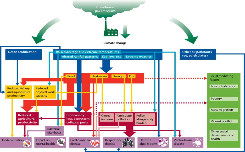 Flow chart of links between climate change impacts and human health