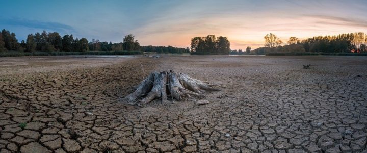 brown cracked land