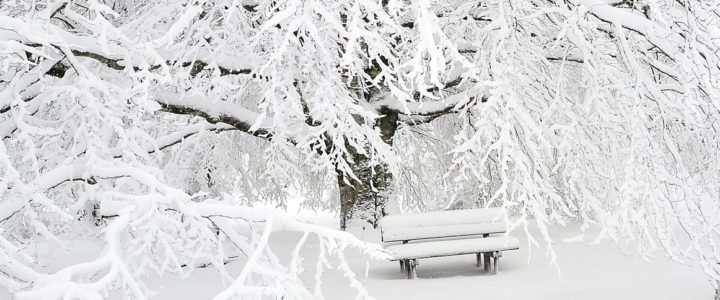 Snow covered scene