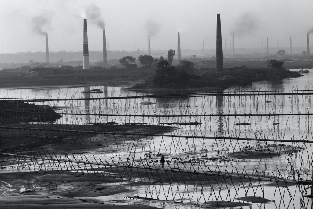 Pollution destroying wetland.