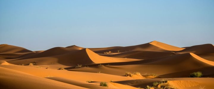 Desert landscape