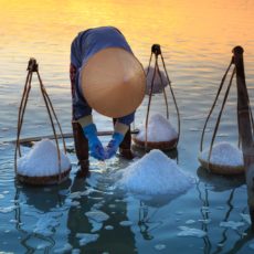 person harvesting salt from the ocean