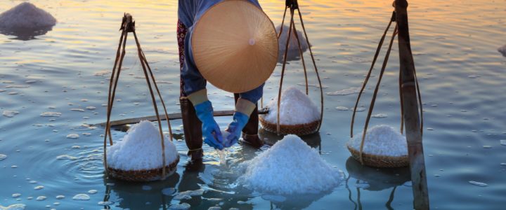 person harvesting salt from the ocean