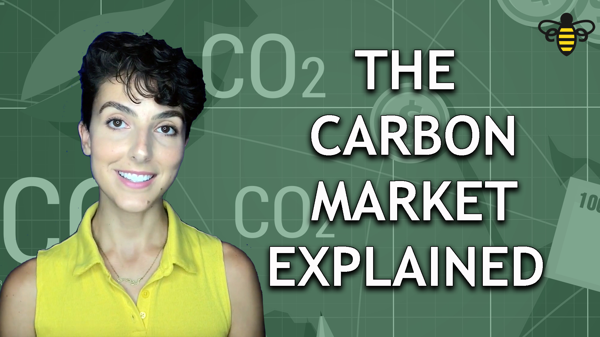 the-carbon-market-explained-swrm