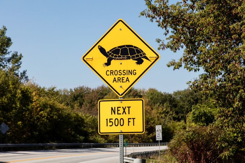 Tortoise crossing sign on the side of the road