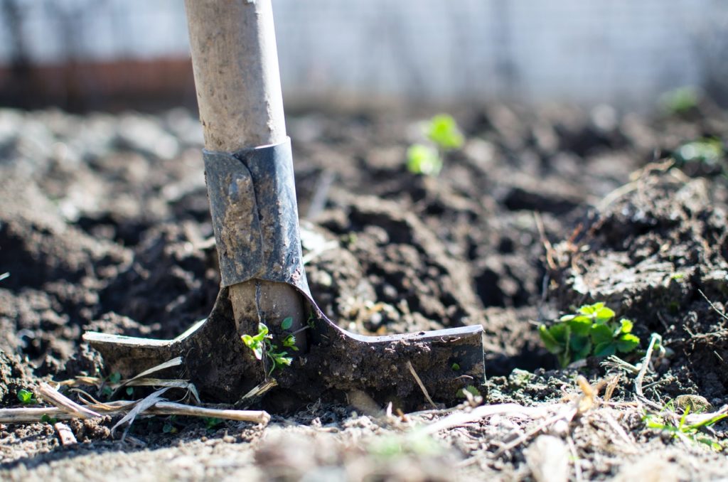 Shovel/Spade digging soil