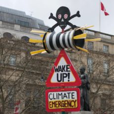 Climate Emergency sign during a climate protest