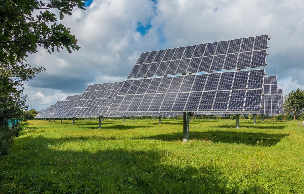 Solar panels in a green field with trees surrounding them.