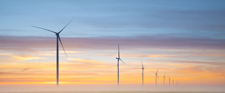 Row of wind turbines in a green field at sunset