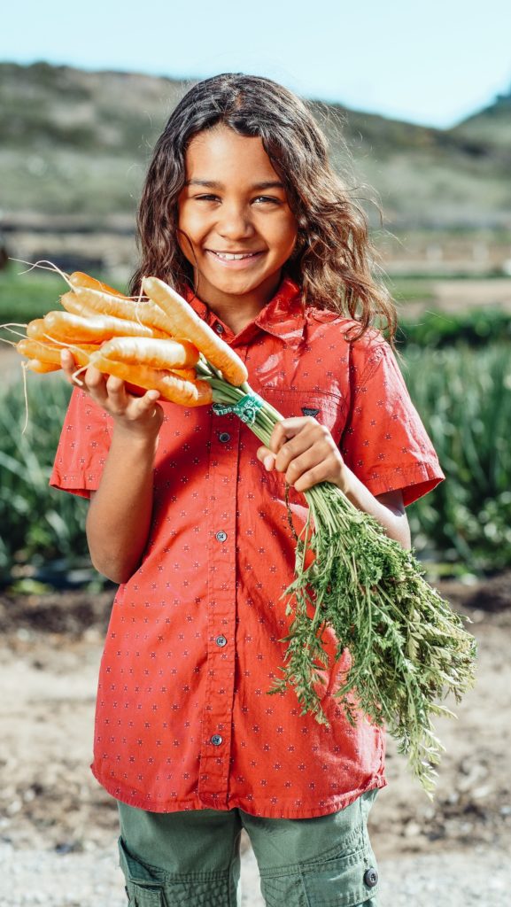 Young Hispanic boy holding a bunch of freshly pulled carrots.