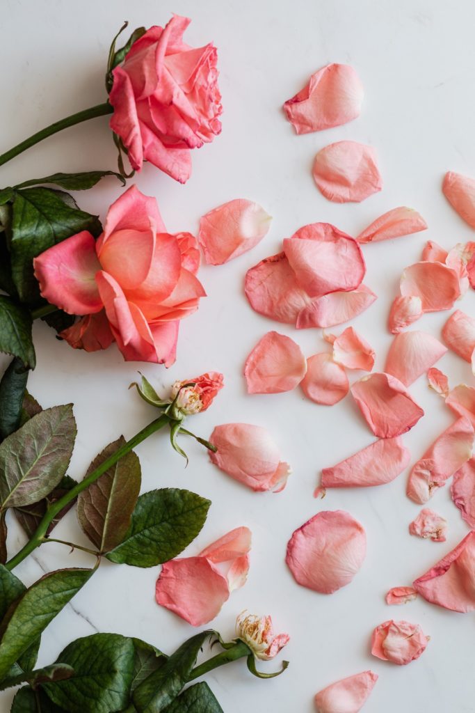 Pink roses with petals mostly having fallen off them, which you can use to decorate tables in an eco-friendly way