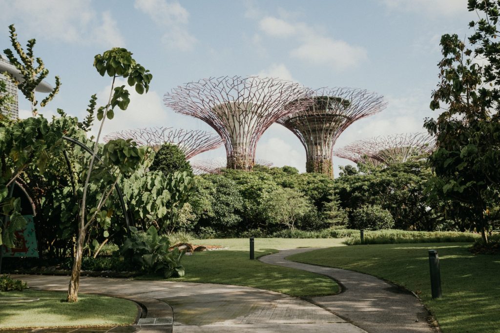 Singapore's Gardens by the Bay: lush green parks and trees with the iconic Supertree Grove behind it. 