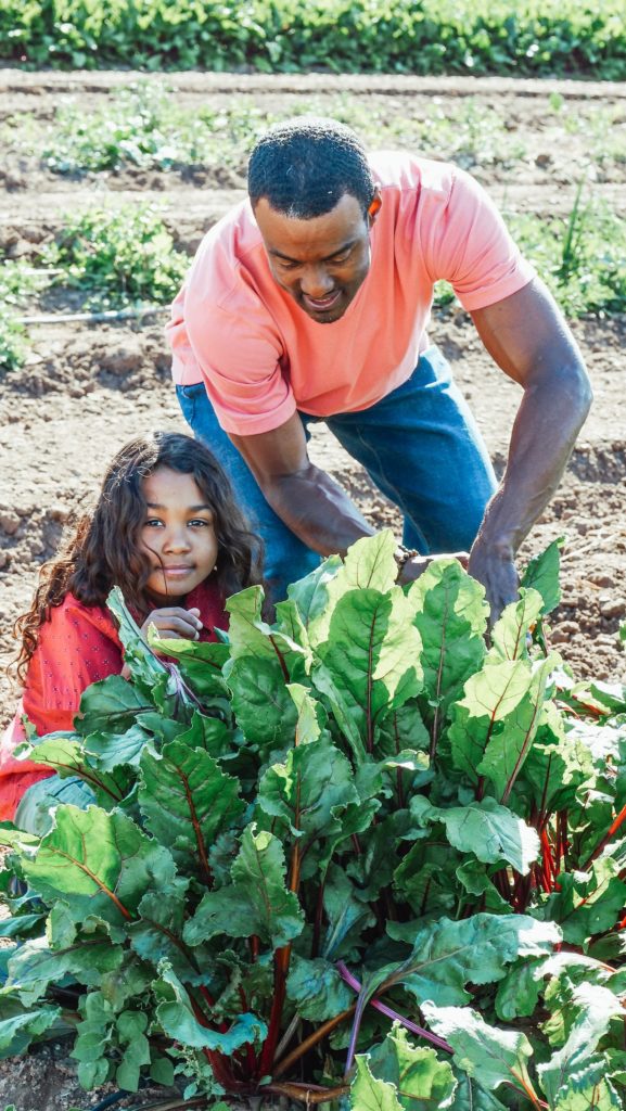 Black man his child gardening to grow vegetables and improve life from a sustainability standpoint